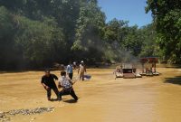 Razia 2025 kini Pelaku peti makin berigas melakukan aktivitas tambang emas ilegal sungai Batang Masumai Desa Titian Teras 