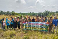 Panen jagung Program Ketahanan Pangan 