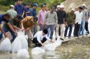 Gubernur Jambi lepas benih ikan Duskominfo Provinsi Jambi/Sapra Wintani/Foto: Novriansah/Video: Erik Sutriedi, Wo Zalli/Driver: Apriadi
