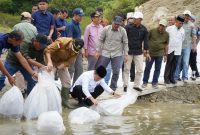 Gubernur Jambi lepas benih ikan Duskominfo Provinsi Jambi/Sapra Wintani/Foto: Novriansah/Video: Erik Sutriedi, Wo Zalli/Driver: Apriadi