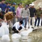 Gubernur Jambi lepas benih ikan Duskominfo Provinsi Jambi/Sapra Wintani/Foto: Novriansah/Video: Erik Sutriedi, Wo Zalli/Driver: Apriadi